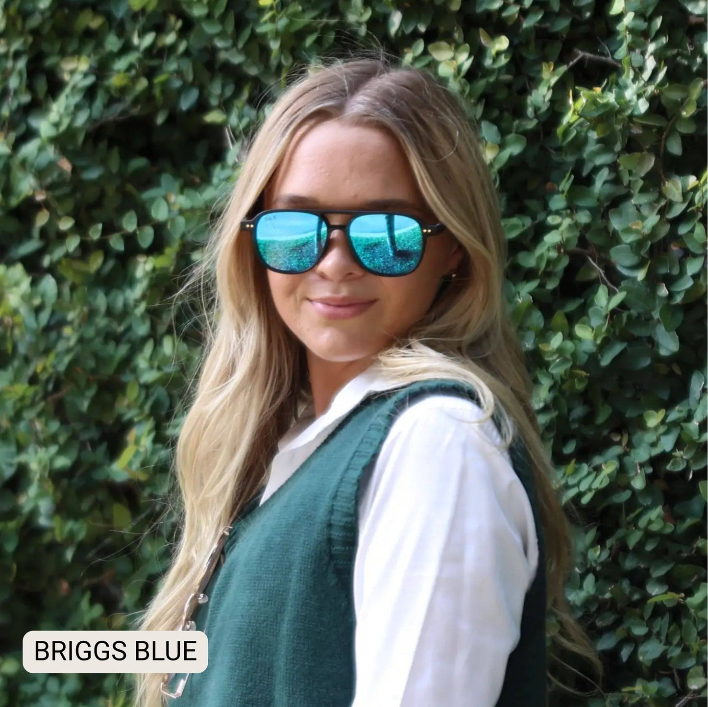 Briggs