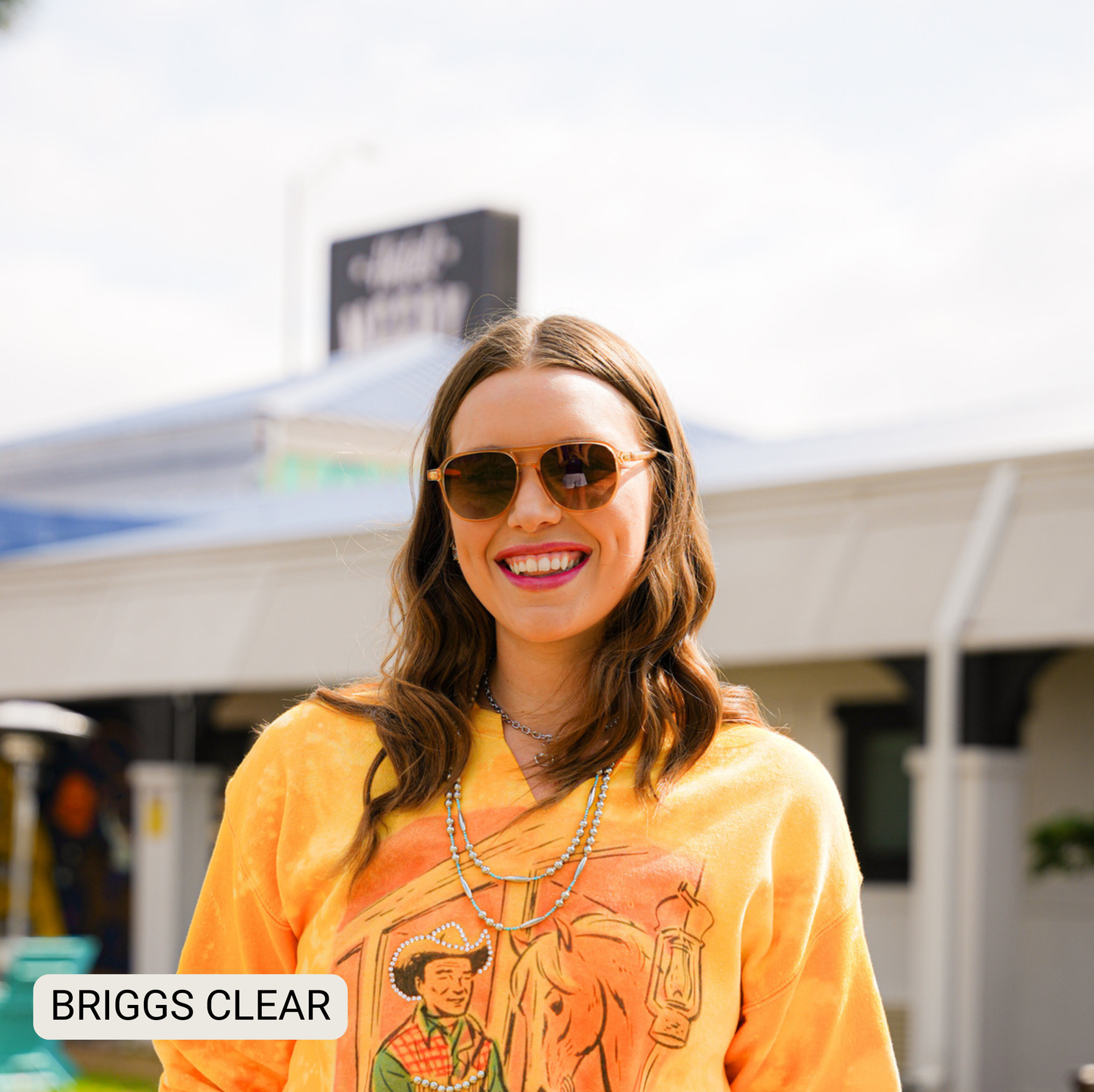Briggs